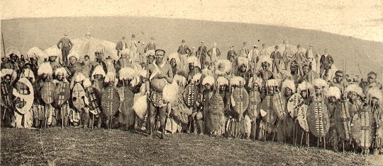 BAMBATHA REBELLION - HISTORY SOUTH AFRICA