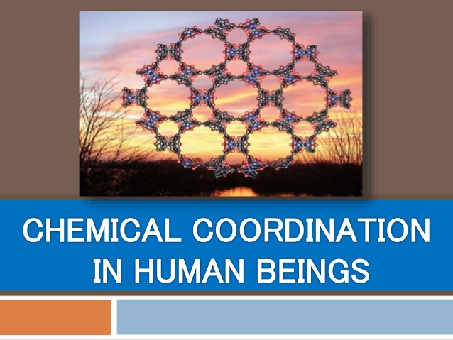 CHEMICAL COORDINATION IN VERTEBRATES