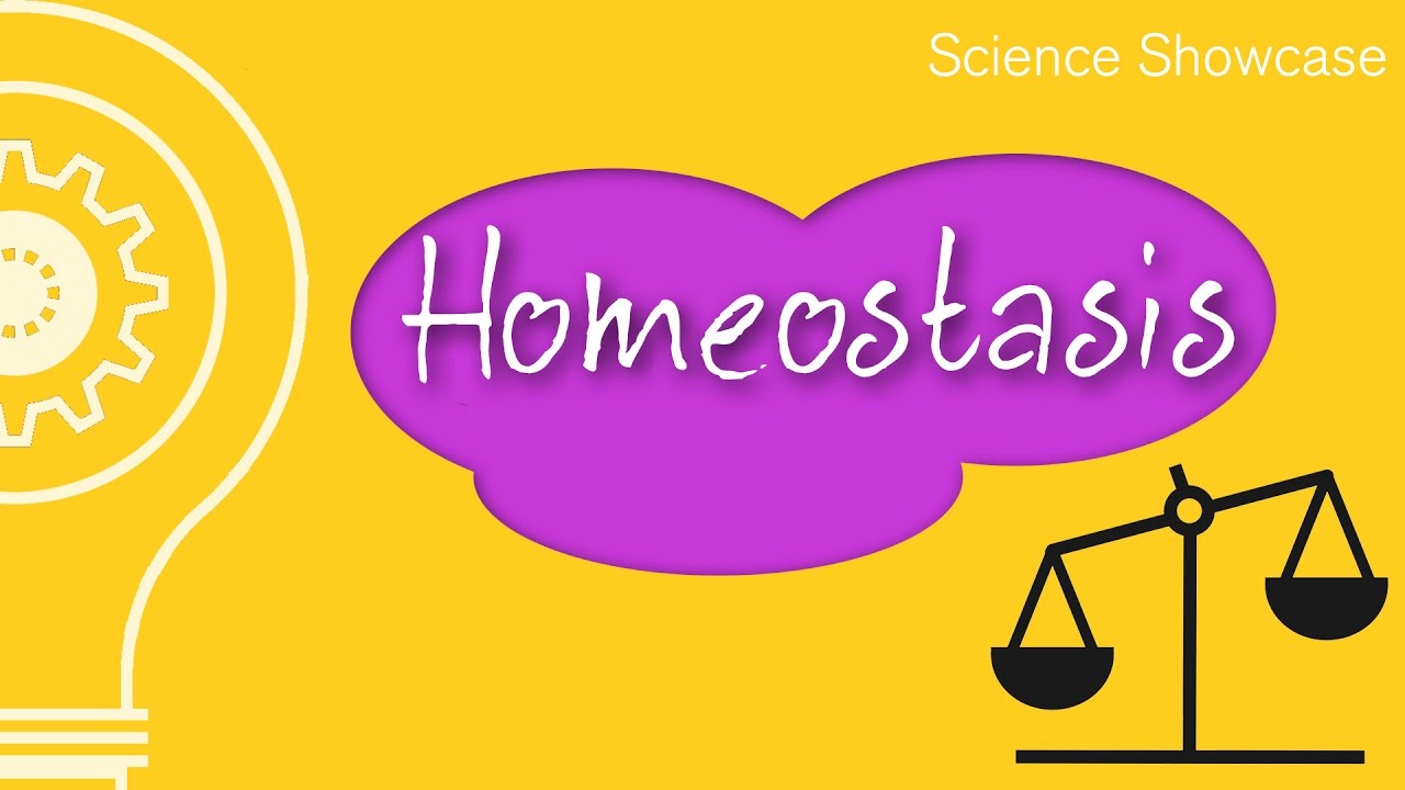 HOMEOSTASIS