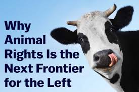ENG/P/7: ANIMAL NEEDS, FREEDOM AND ENVIRONMENTAL PROTECTION - Yaaka Digital Network ENG/P/7: ANIMAL NEEDS, FREEDOM AND ENVIRONMENTAL PROTECTION - Yaaka Digital Network
