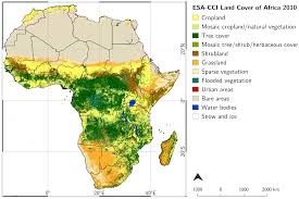 S.S.T/P/7: VEGETATION IN AFRICA