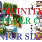 Download All Lessons of Divinity Paper One Senior Six
