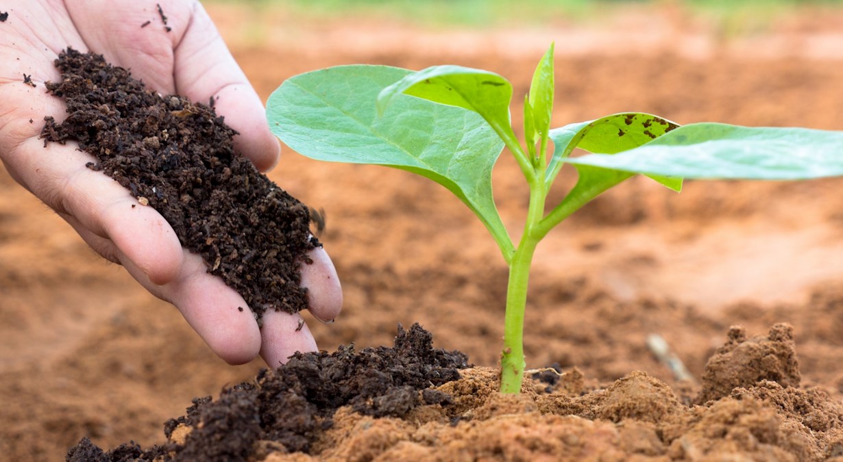 Mathematics - SOILS IN AGRICULTURE