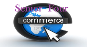 Download All Lessons of Commerce Senior Four 1