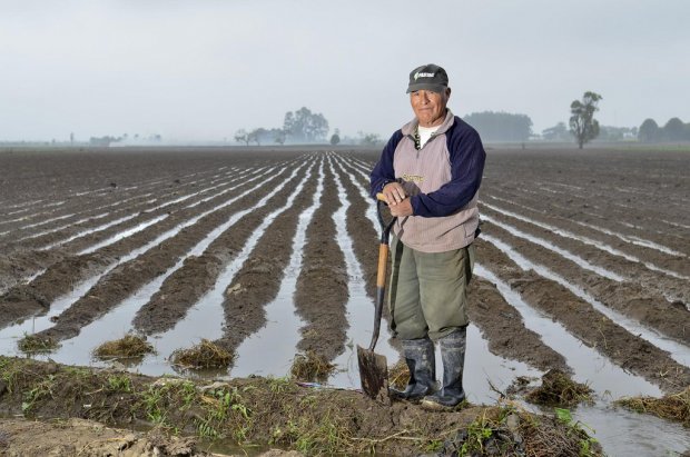 AGRICULTURE O-LEVEL - SOIL AND WATER CONSERVATION