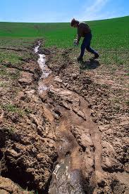 AGRICULTURE O-LEVEL SOIL EROSION