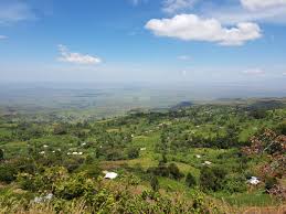S.S.T/P/5: VEGETATION OF UGANDA 1