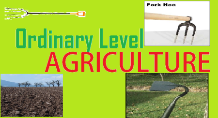 UNEB 2024 possible Agriculture Paper 1 Exams: Set one-Questions and Answers- 7