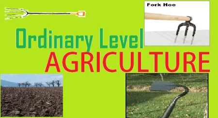 UNEB 2024 possible Agriculture Paper 1 Exams: Set Three-Questions and Answers- 11