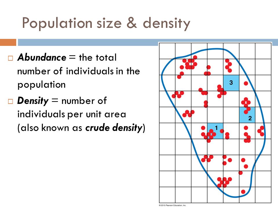 ALBIO5: SIZE AND DENSITY