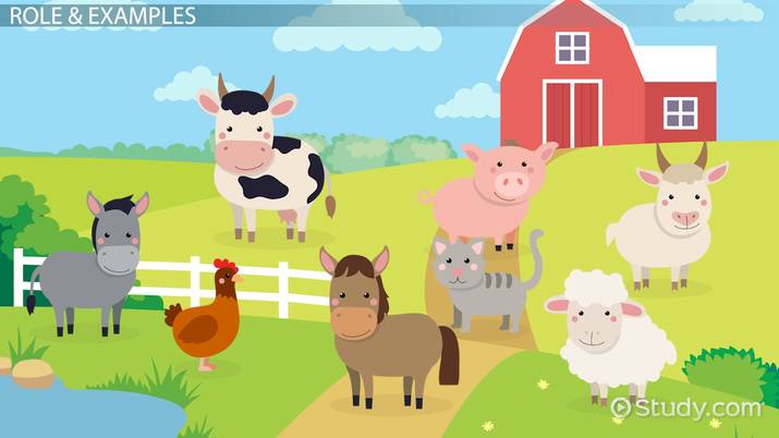 COMMON ANIMALS Literacy P.2