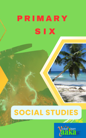 DOWNLOAD ALL LESSONS OF PRIMARY SIX SOCIAL STUDIES 1