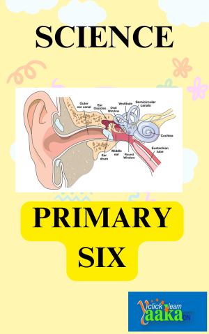 DOWNLOAD ALL LESSONS OF PRIMARY SIX SCIENCE 1