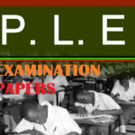 DOWNLOAD UNEB PRIMARY LEAVING EXAMINATIONS FOR ALL THE FOUR SUBJECTS