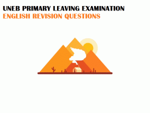 DOWNLOAD UNEB PRIMARY LEAVING EXAMINATIONS ENGLISH 1