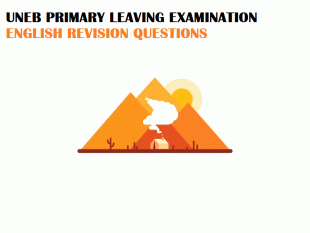 UNEB- PRIMARY LEAVING EXAMINATIONS ENGLISH REVISION QUESTIONS 2