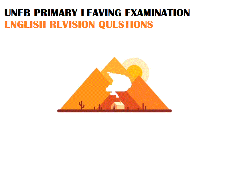 UNEB- PRIMARY LEAVING EXAMINATIONS ENGLISH REVISION QUESTIONS 1