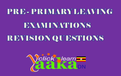 PRIMARY LEAVING EXAMINATIONS REVISION QUESTIONS