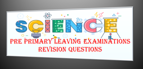 PRE PRIMARY LEAVING EXAMINATIONS SCIENCE REVISION QUESTIONS
