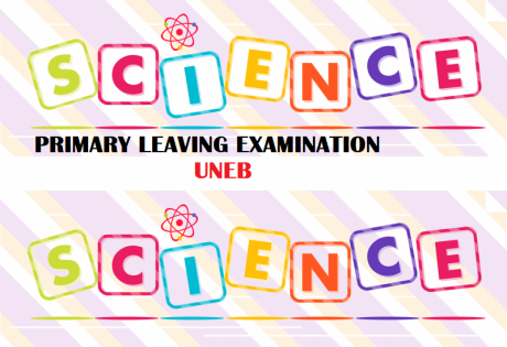 UNEB- PRIMARY LEAVING EXAMINATIONS SCIENCE REVISION QUESTIONS 3
