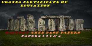 UGANDA CERTIFICATE OF EDUCATION HISTORY PAST PAPERS PAPER 1,2,3&4 19