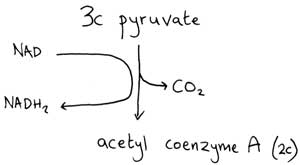 linkreaction_300