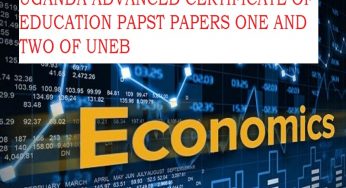 UGANDA ADVANCED CERTIFICATE OF EDUCATION ECONOMICS 2019 PAST PAPERS (1&2)