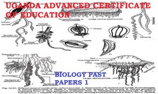 DOWNLOAD UACE BIOLOGY PAPER 1 2012-QUALITY TUTORS UGANDA 1 DOWNLOAD UACE BIOLOGY PAPER 1 2012-QUALITY TUTORS UGANDA 1