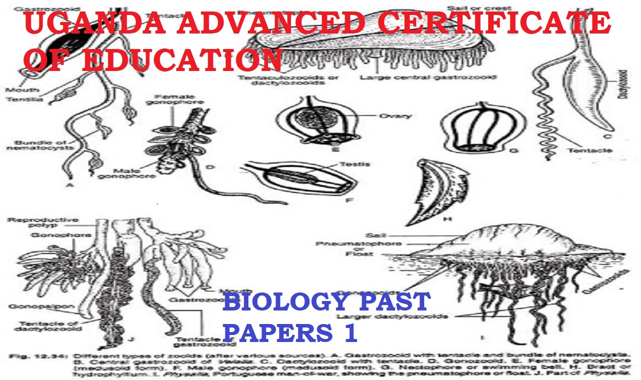 UACE BIOLOGY PAPER ONE 2006 MARKING GUIDE-QUALITY TUTORS UGANDA 1