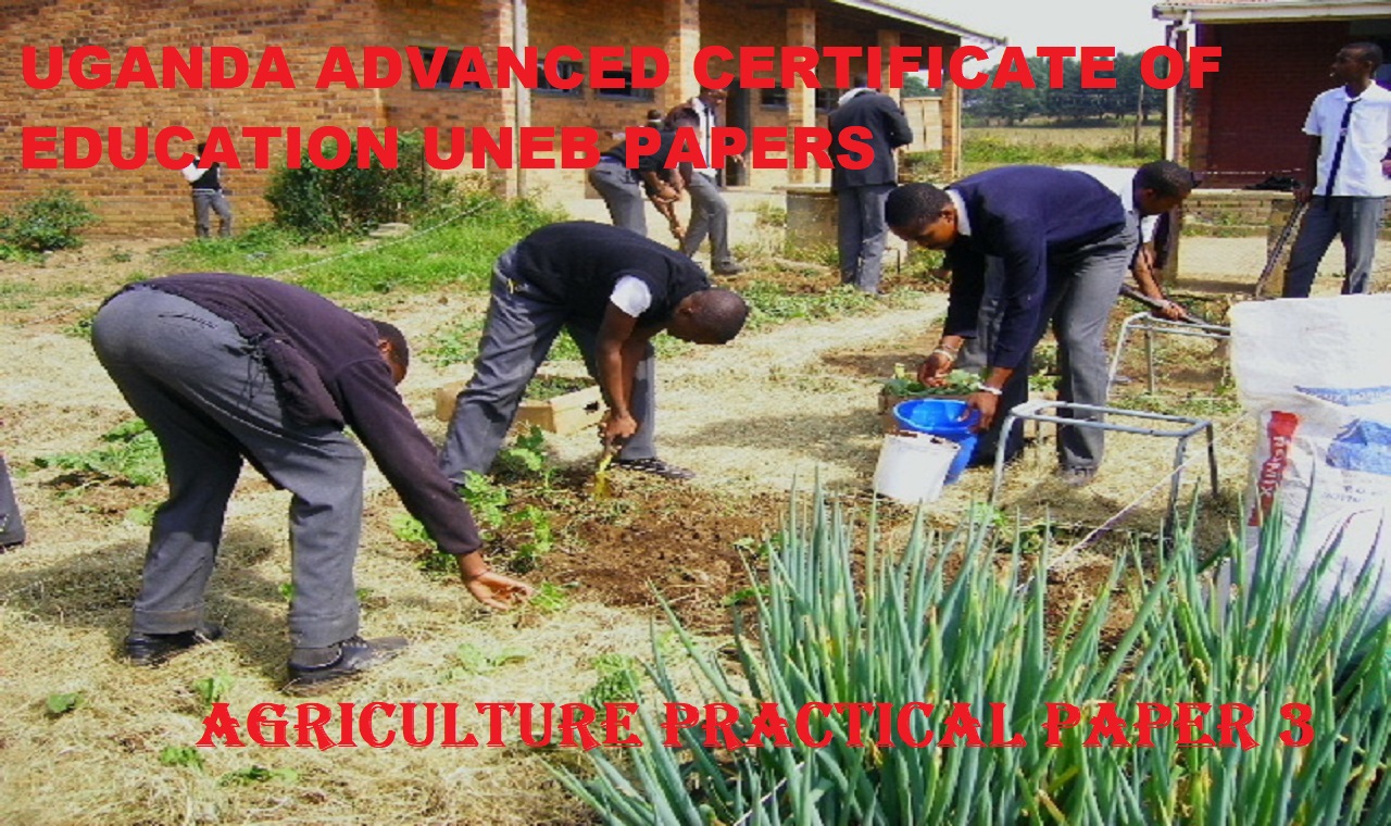 UGANDA ADVANCED CERTIFICATE OF EDUCATION AGRICULTURE PRACTICAL PAPER THREE UNEB PAST PAPERS 4