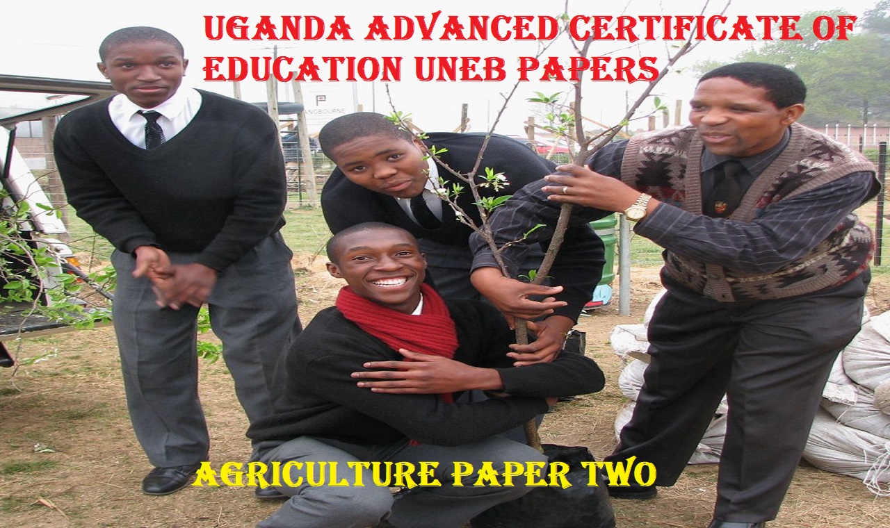 UGANDA ADVANCED CERTIFICATE OF EDUCATION AGRICULTURE PAPER TWO UNEB PAST PAPERS 4