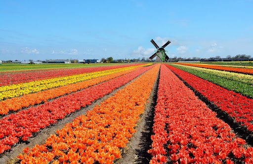 Netherlands