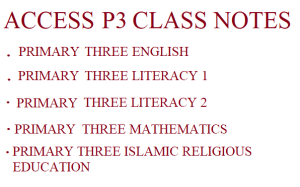 Download a Combination of All Primary Three Subjects 1