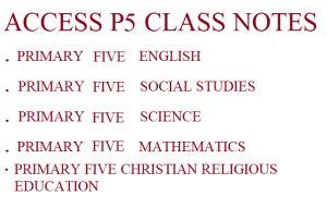 Download a Combination of All Primary Five Subjects 1