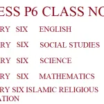 Download a Combination of All Primary Six Subjects