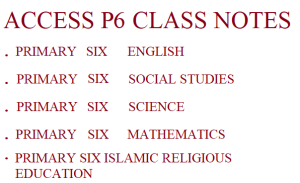 Download a Combination of All Primary Six Subjects 1