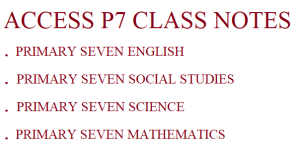 Download a Combination of All Primary Seven Subjects 1