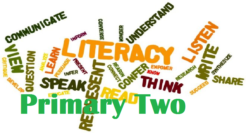 Light Academy Nursery & Primary (Primary Two Reading Questions) 3