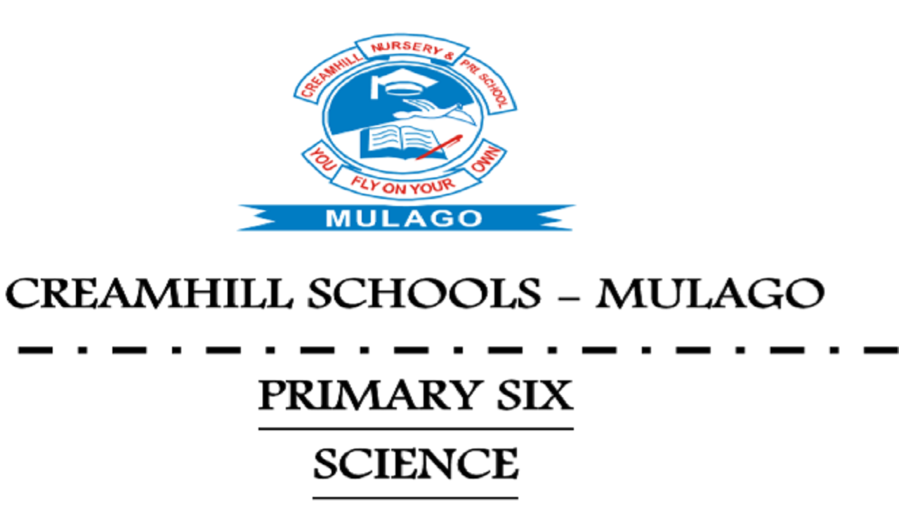 CREAMHILL SCHOOLS - MULAGO PRIMARY SIX SCIENCE NOTES SET IV 1