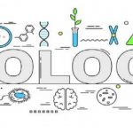 Biology S1
