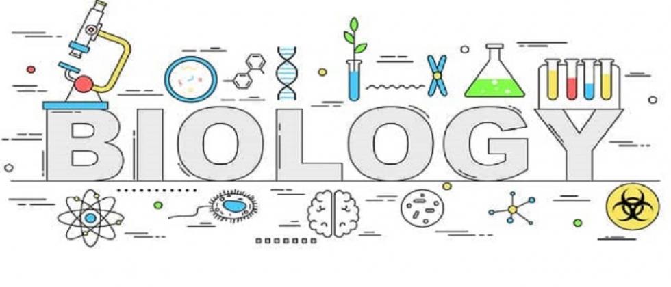 Biology S1