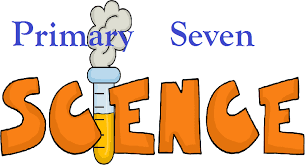 SUBSCRIBE TO ALL PRIMARY SEVEN COURSES 11