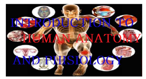 SUBSCRIBE TO INTRODUCTION TO HUMAN ANATOMY AND PHYSIOLOGY 1