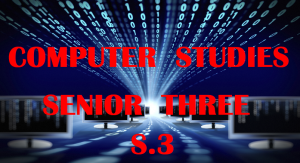 CS3: COMPUTER STUDIES SENIOR THREE 1