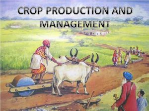 SUBSCRIBE TO CROP PRODUCTION AND MANAGEMENT COURSE 1