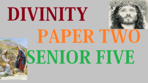 DIV2/5: DIVINITY PAPER TWO (2) SENIOR FIVE 5
