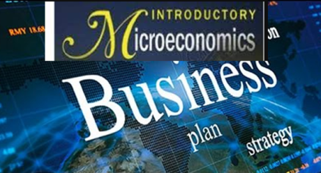 INTRODUCTORY MICROECONOMICS: BUSINESS ADMINISTRATION