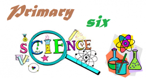 SCI6: SCIENCE PRIMARY SIX 2