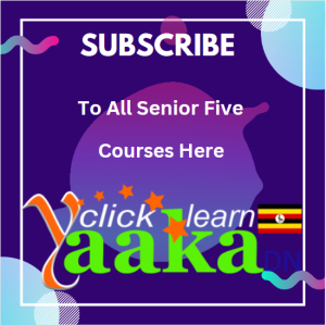SUBSCRIBE TO ALL SENIOR FIVE COURSES 1