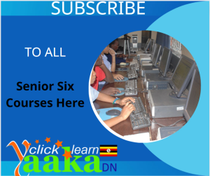 SUBSCRIBE TO ALL SENIOR SIX COURSES 1
